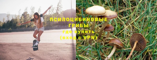 apvp Пересвет
